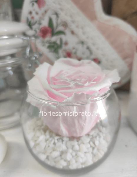 Rosa stabilizzata rosa con vasetto in vetro » Fiorista a Prato. Acquista  online fiori e piante per consegna a domicilio a Prato.