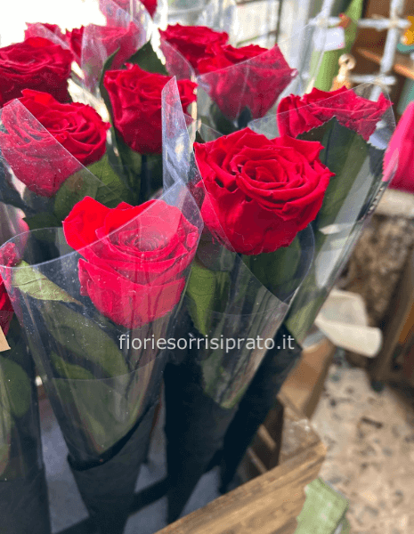 Rose » Fiorista a Prato. Acquista online fiori e piante per consegna a  domicilio a Prato.