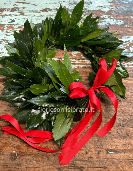 Corona d'alloro con fiocco solo dietro