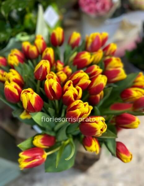 TULIPANI A STELO