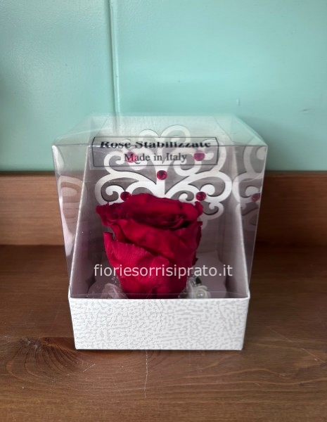 ROSA STABILIZZATA ROSSA CON ALBERO DELLA VITA